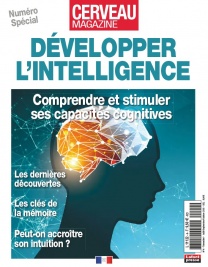 Cerveau Magazine