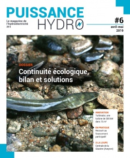 Puissance Hydro, le magazine de l'hydroélectricité N°6 du 01 avril 2019 à télécharger sur iPad