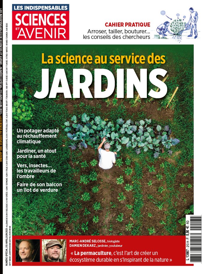 Hérisson : les jardins pour refuge - Sciences et Avenir