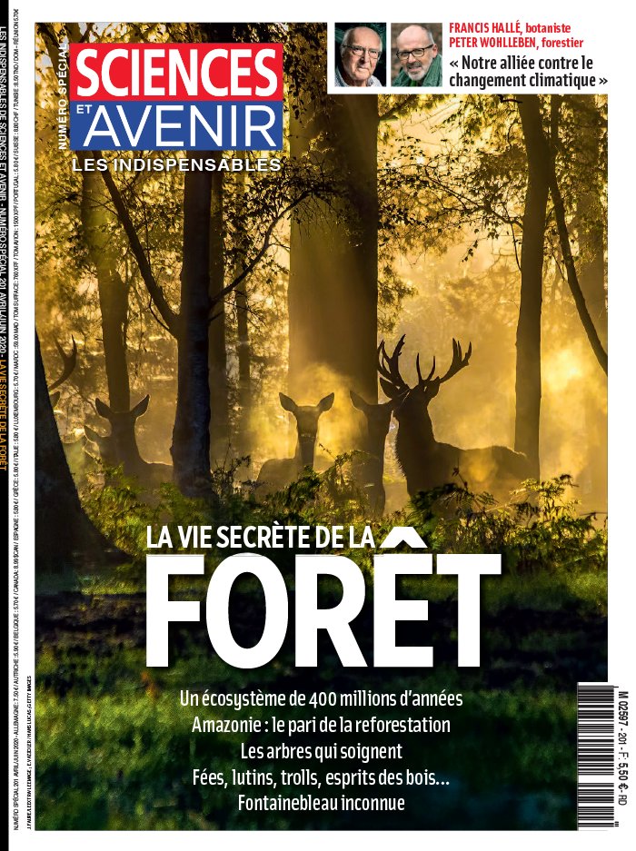 HorsSerie_ScAvenir 25 mars 2020 HorsSerie_ScAvenir du 25 mars 2020