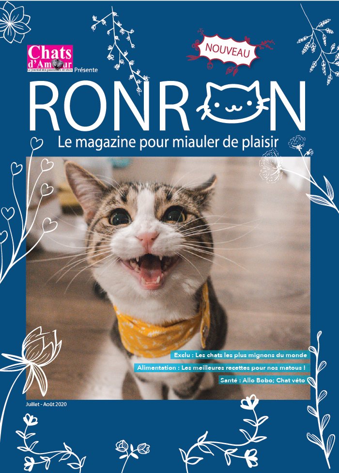 Chats d'Amour 02 juillet 2020 Abonnement Chats d'amour Pas Cher avec le BOUQUET ePresse.fr