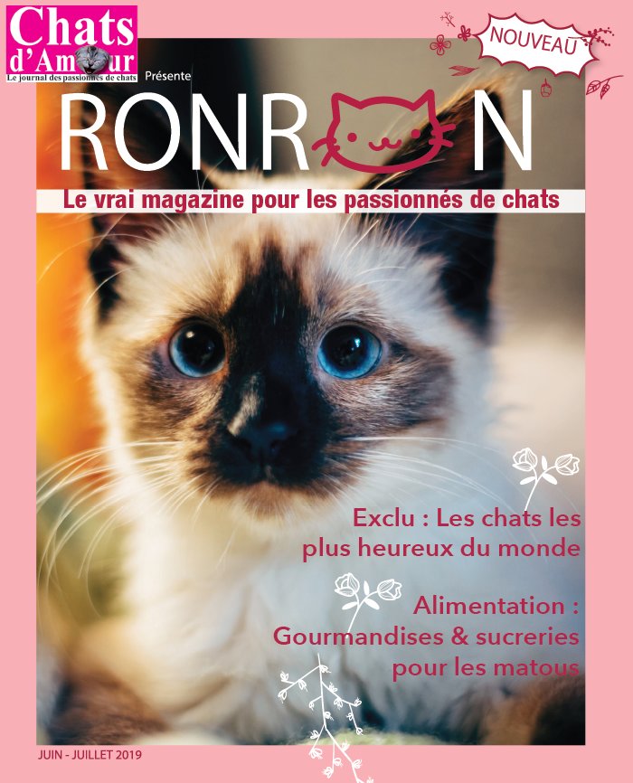 Chats d'Amour 04 juin 2019 Abonnement Chats d'amour Pas Cher avec le BOUQUET ePresse.fr